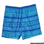 Aztec Print Turquoise Combo Above The Knee 6 Inseam Swim Short Trunks  B079Y7321T